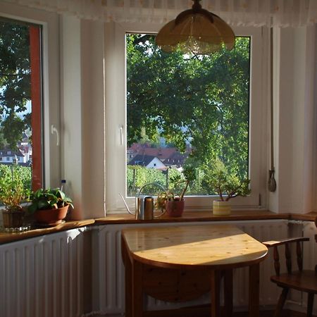 Rotes Haus Ueber Den Weinbergen Lejlighed Konstanz Eksteriør billede